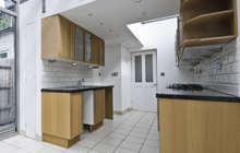 Putney Heath kitchen extension leads